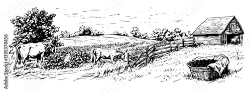 Engraved illustration showcasing a serene rural landscape with grazing cows and a rustic barn