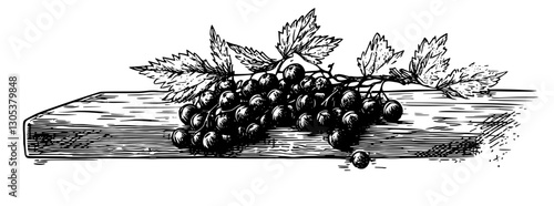 Engraved illustration of grapes resting on a wooden surface with detailed leaves and shadows