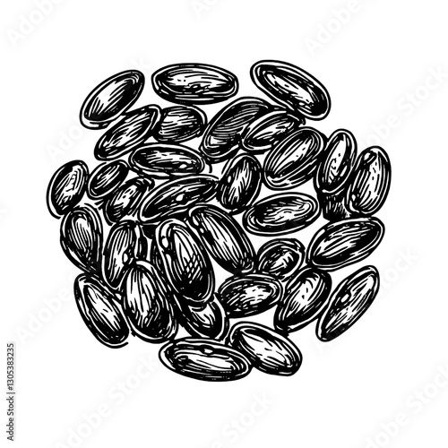 Engraved illustration of various flaxseeds arranged in a cluster design showing intricate details of each seed