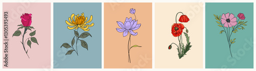 Set of floral card templates with gorgeous Rose, Chrysanthemum, Lotus, Water Lily, Poppy, Cosmos flowers. Hand Drawn vector illustrations isolated on colorful backgrounds. Birth month flowers.