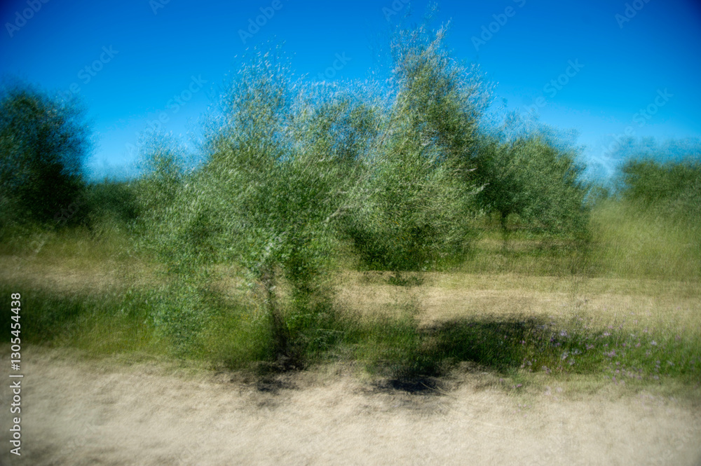 Abstract motion blur of bare trees in a misty forest, creating a sense of depth and mystery. Sardinia, Italy- Abstract motion blur of bare trees in a misty forest, creating a sense of depth and mystery. Sardinia, Italy-