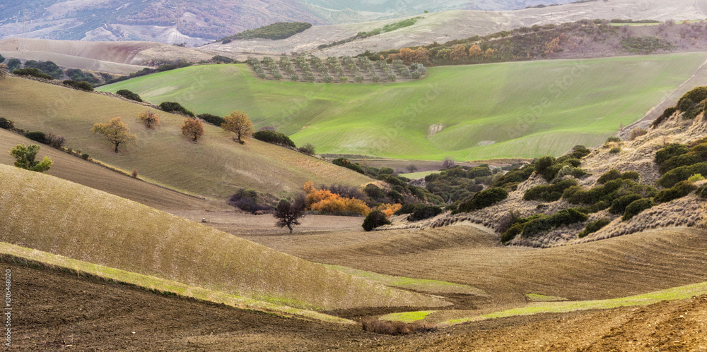 Obraz premium autumnal countryside landscape inside the Basilicata region, Italy