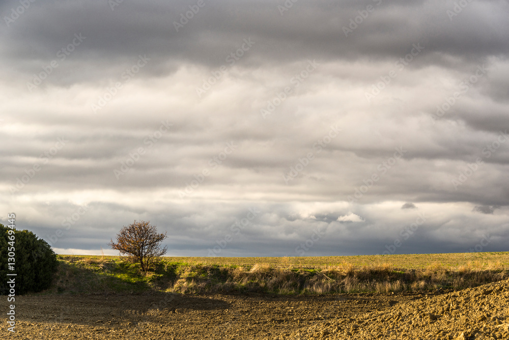 Obraz premium autumnal countryside landscape inside the Basilicata region, Italy
