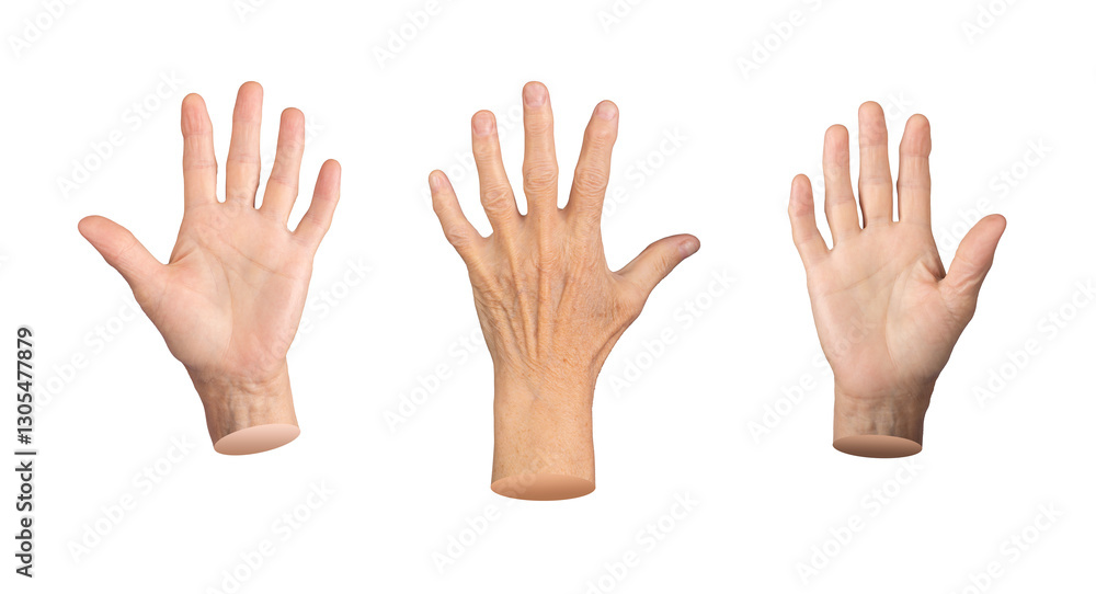 An elderly hand with palm spread, fingers raised in a stop gesture, showing wrinkles, veins, and texture. A comparison of age, displaying a symbol of communication. Senior and aged hands with An elderly hand with palm spread, fingers raised in a stop gesture, showing wrinkles, veins, and texture. A comparison of age, displaying a symbol of communication. Senior and aged hands with