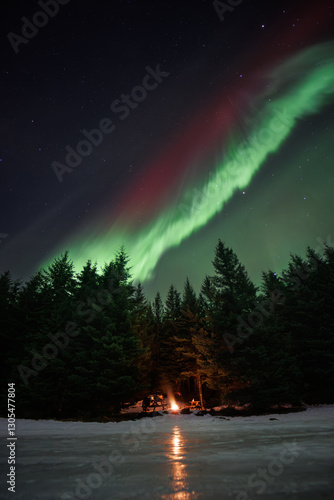 Fogata en el bosque bajo las Auroras Boreales