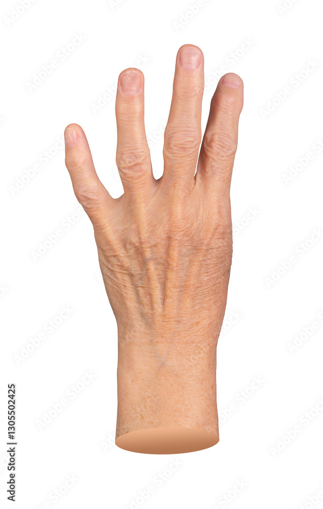 Fototapeta premium Elderly hand showing four extended fingers in an expressive gesture. Aged skin with visible veins and wrinkles, showcasing detailed anatomy. Close up of senior woman s hand, isolated on white