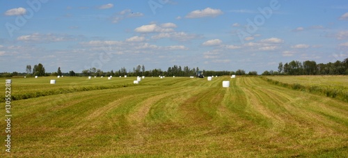 Tractor making wrapped hay bales in a meadow. A field full of hay bales wrapped in white plastic. A farmer is making hay bales in rural area. photo