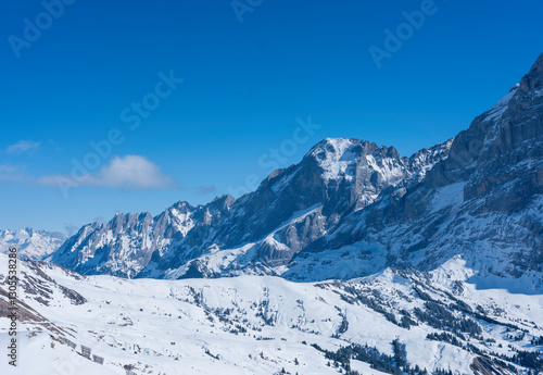 Obraz na płótnie Schnee und Landschaft bei Grindelwald w salonie