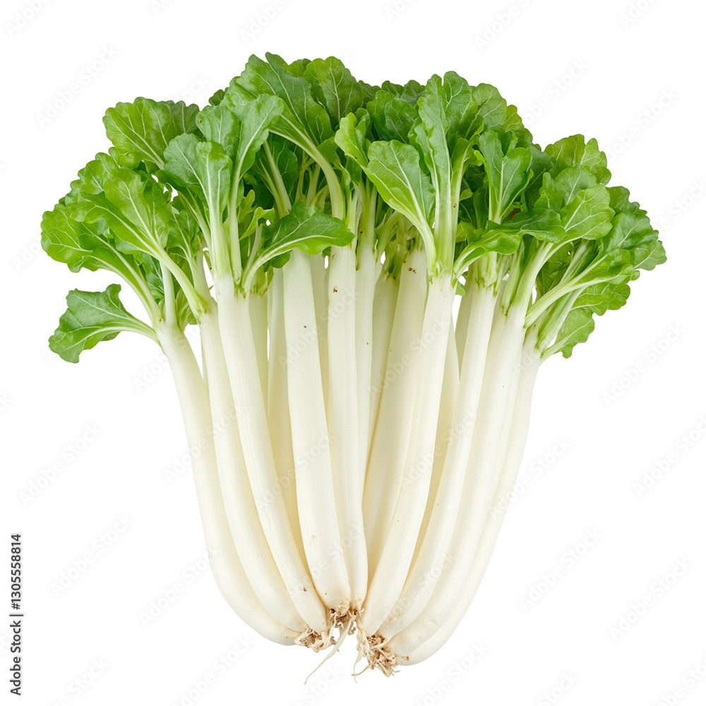Fresh daikon radishes with long white roots and vibrant green tops isolated on white Crisp and refreshing Fresh daikon radishes with long white roots and vibrant green tops isolated on white Crisp and refreshing