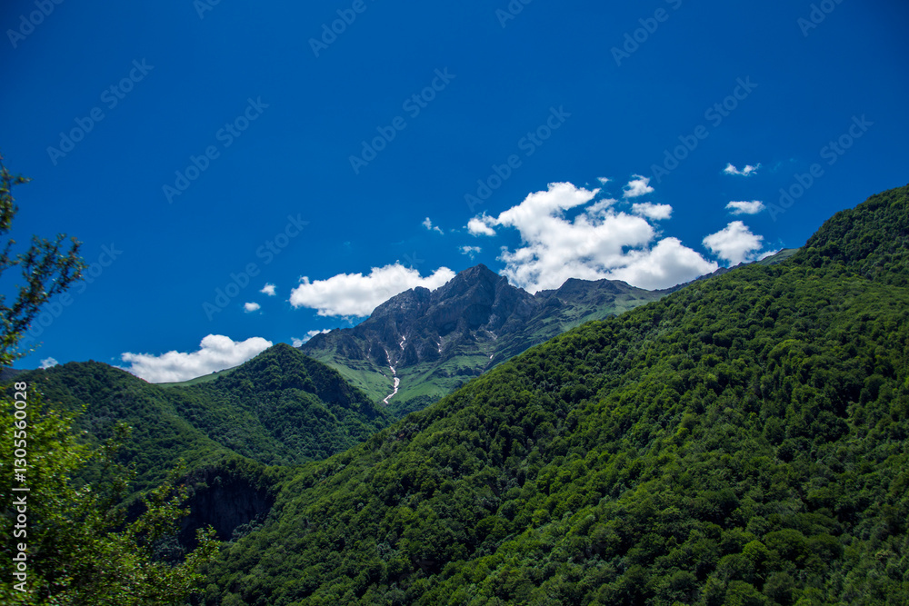 Fototapeta premium mountain landscape pine trees near valley and colorful forest on hillside under blue sky