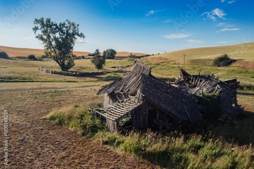 Dilapidated farm buildings stand in a field of wheat in Garfield, the Palouse region of Washington, USA. The structures are a reminder of the area's agricultural history. photo