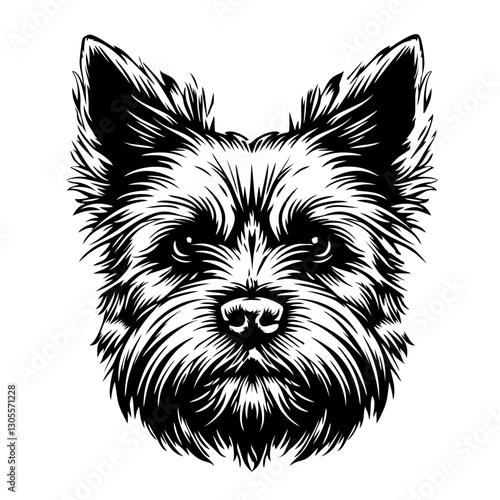 AUSTRALIAN terrier Detailed black and white terrier dog head drawing illustrating furry animal art.