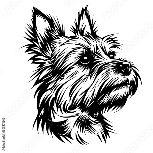 AUSTRALIAN terrier Black and white vector illustration of a yorkshire terrier face