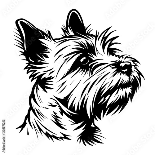 AUSTRALIAN terrier Detailed black and white illustration of a terrier dog with focused expression
