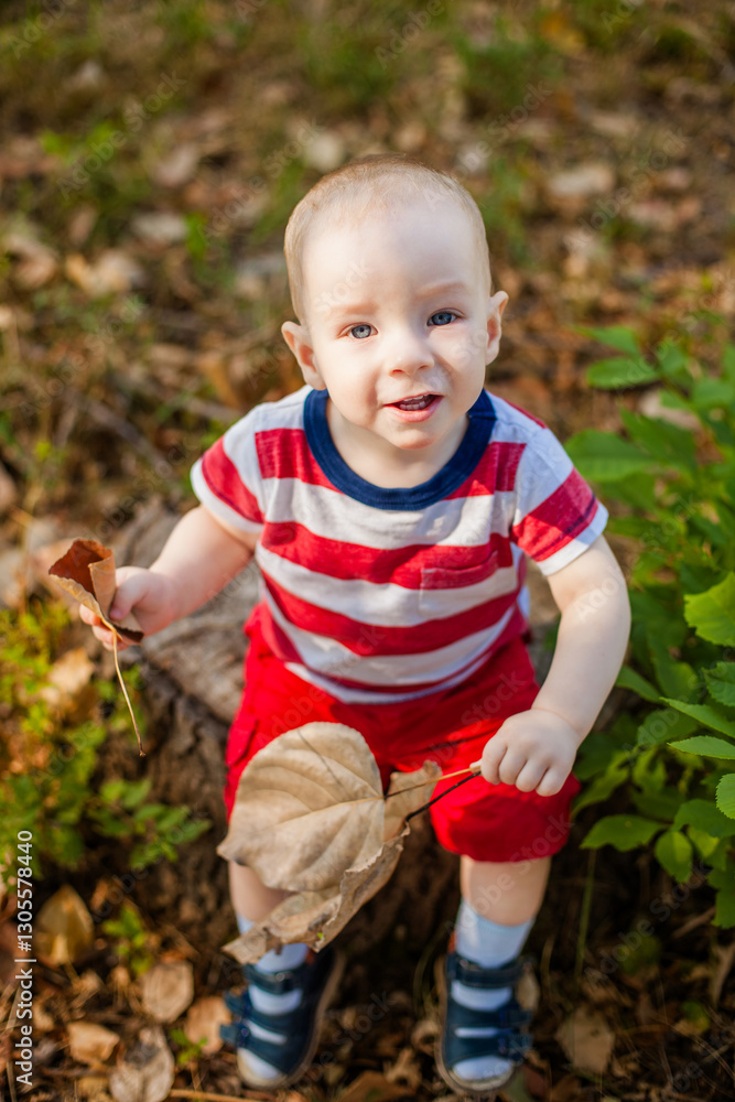 One-year-old baby playing with natural materials leaves and twigs in a warm autumn forest One-year-old baby playing with natural materials leaves and twigs in a warm autumn forest