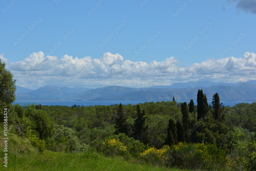 Fototapeta premium Tranquil view of the Kato Korakiana forest in Corfu Island. A horizontal and serene landscape with a green meadow, mountains, and the Ionian Sea in the background.