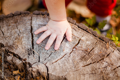 Close-up of a tiny baby hand against a wooden tree slice