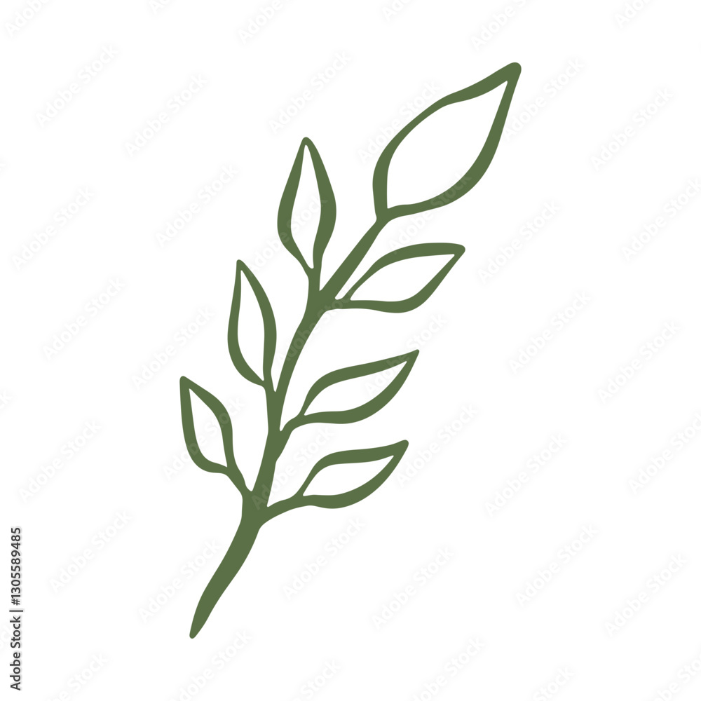 Obraz premium botanical green leaf hand drawn illustration