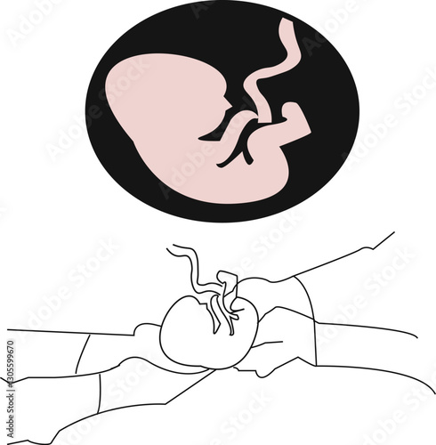 The Connection of Life