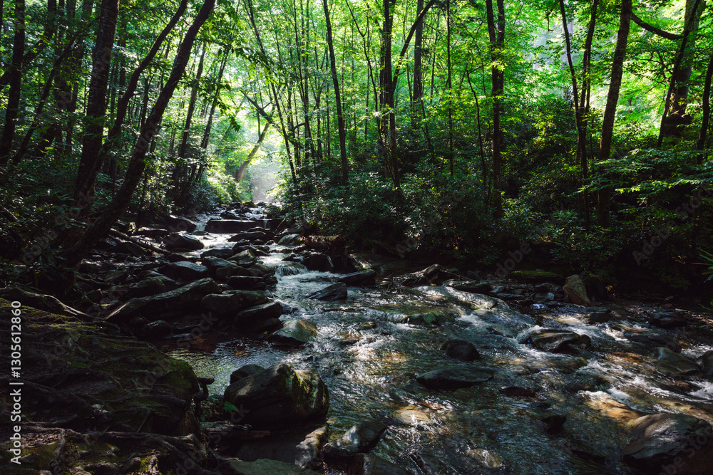 A stream runs in the Smoky Mountains of America. A stream runs in the Smoky Mountains of America.