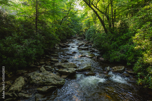 A stream runs in the Smoky Mountains of America.