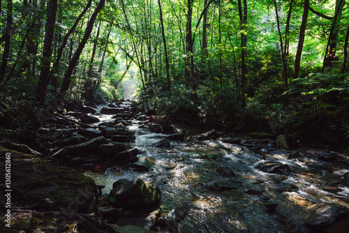 A stream runs in the Smoky Mountains of America.