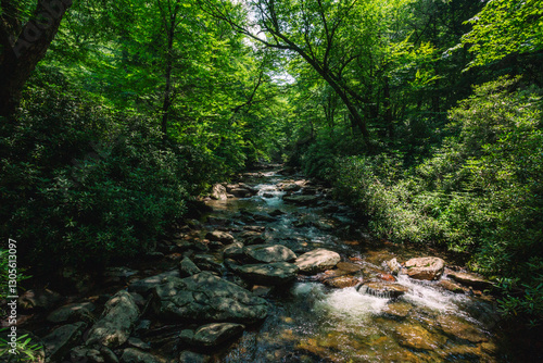 A stream runs in the Smoky Mountains of America.