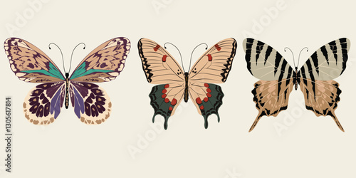 Set of three butterfly illustrations with intricate patterns and unique wing designs.