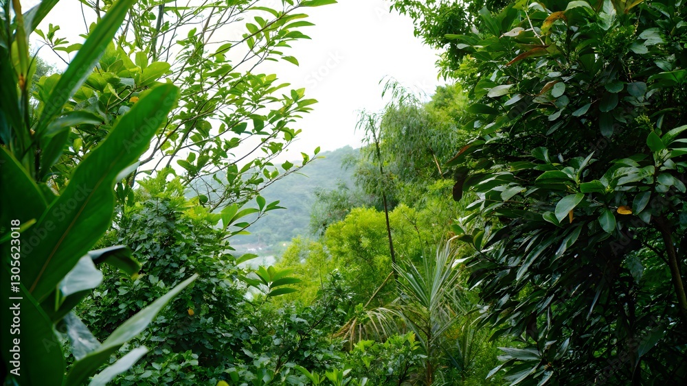 Naklejka premium Lush greenery
