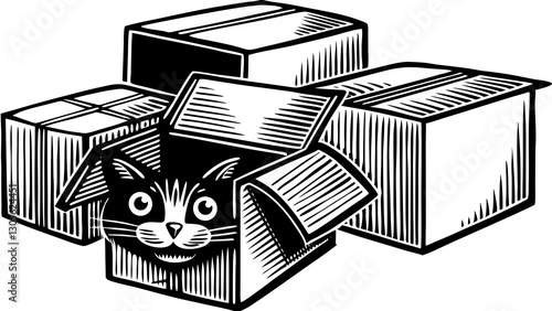 Cat peeking from a cardboard box with additional boxes in background