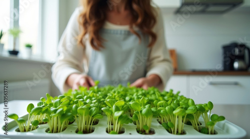 A close-up shot of vibrant green microgreens growing in a tray, gently held by a person's hands