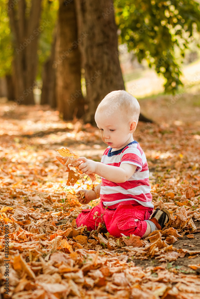 One-year-old little boy exploring the world in an autumn forest One-year-old little boy exploring the world in an autumn forest