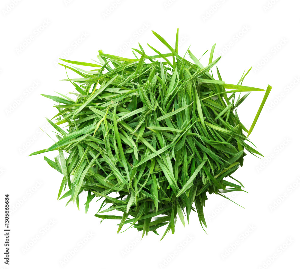 Aerial view of fresh green grass farm. Isolated on transparent background, png. Aerial view of fresh green grass farm. Isolated on transparent background, png.