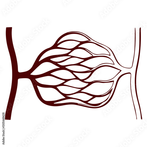 capillary bed icon
