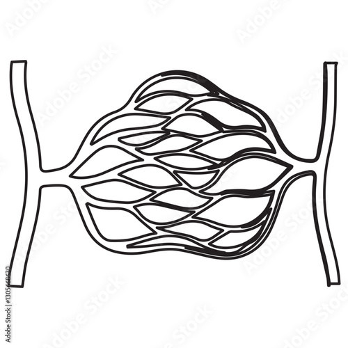capillary bed line icon