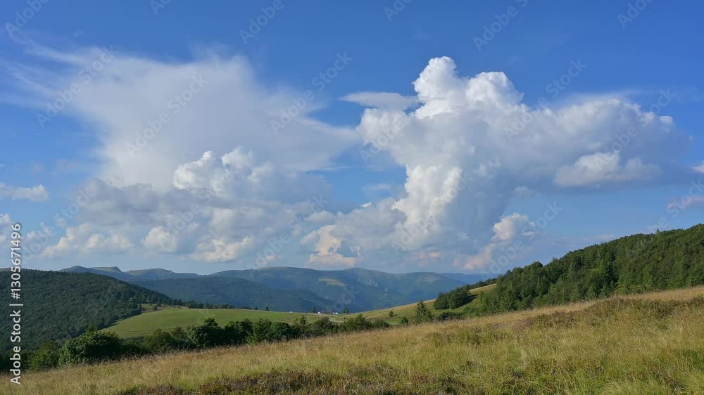 Blick von der Straße, Route des Cretes, auf die Landschaft im Sommer, Metzeral, Vogesen, Oberrhein, Frankreich
Blick von der Straße, Route des Cretes, auf die Landschaft im Sommer, Metzeral, Vogesen, Oberrhein, Frankreich