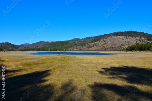 Wallpaper Mural Field at Petelinjsko jezero intermittent karst lake and forest covered hills above in Notranjska, Slovenia Torontodigital.ca