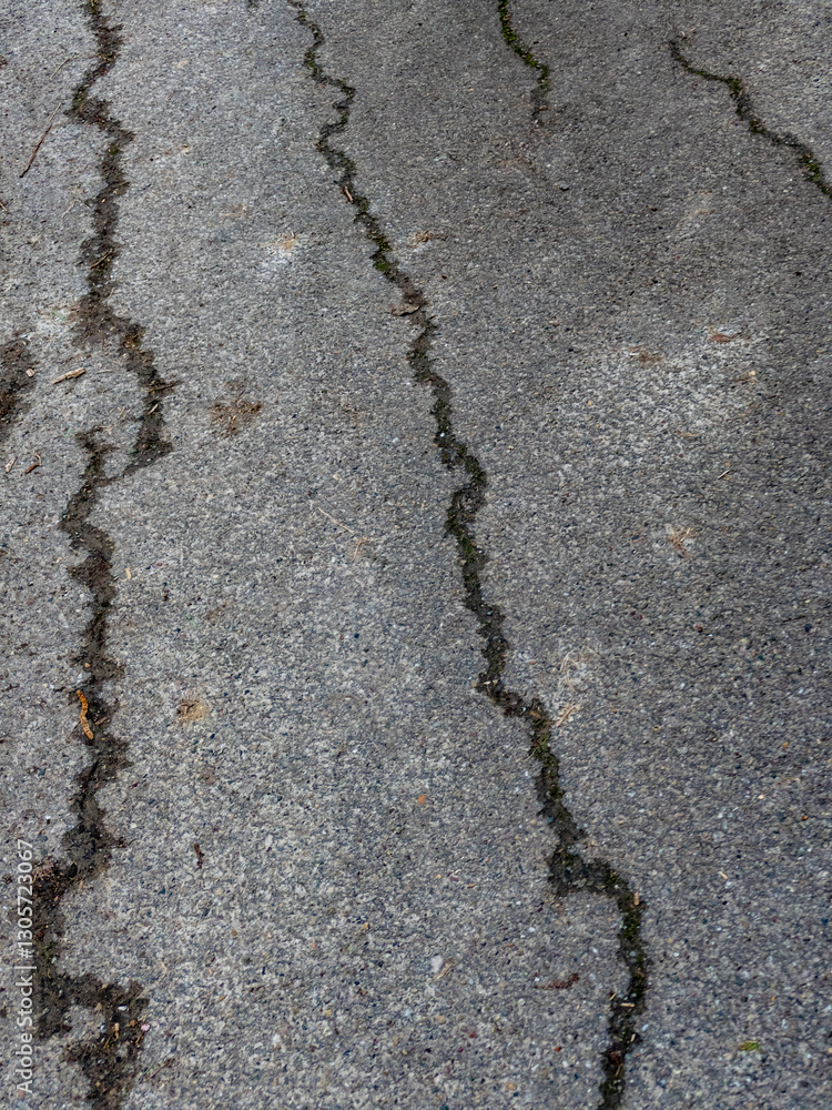 Obraz premium Strassenschäden