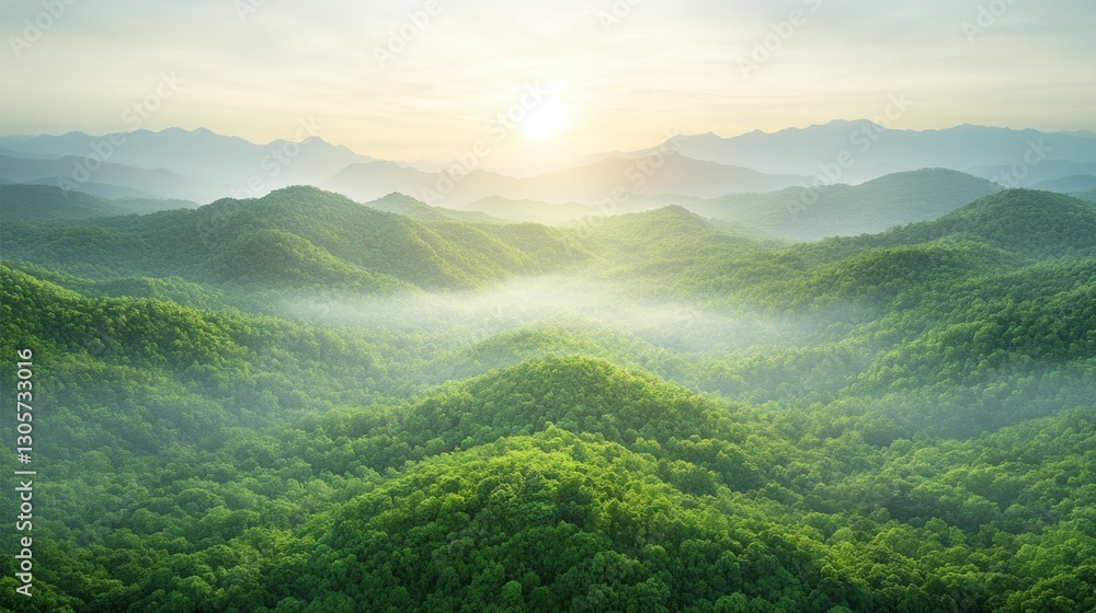 Naklejka premium Misty Mountain Sunrise: A Breathtaking Aerial View of Verdant Hills