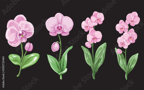 Set of glossy isolated orchid flowers, traced image