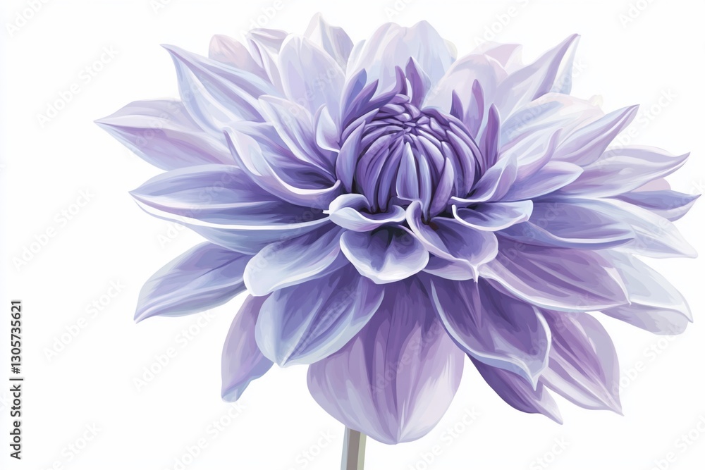 Fototapeta premium A single, light purple dahlia flower with many petals, isolated on white background.