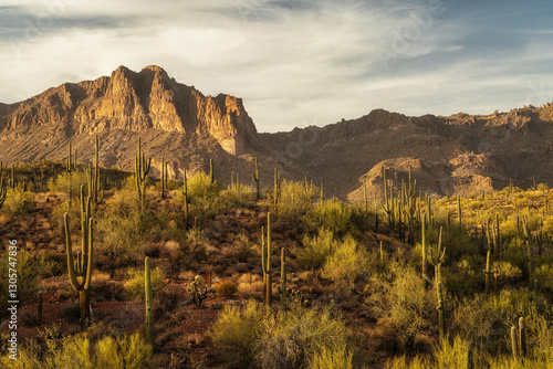 View of Peralta Regional Park