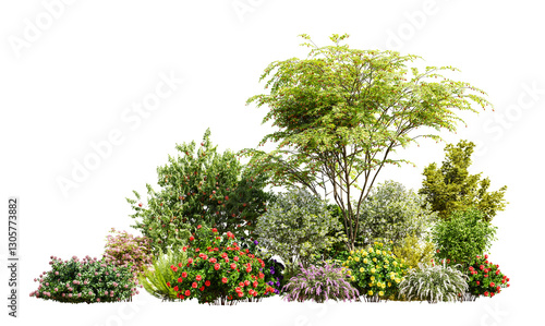 Fototapeta Naklejka Na Ścianę i Meble -  Beautiful garden plants, flower and trees isolated on transparent background. 3D render.