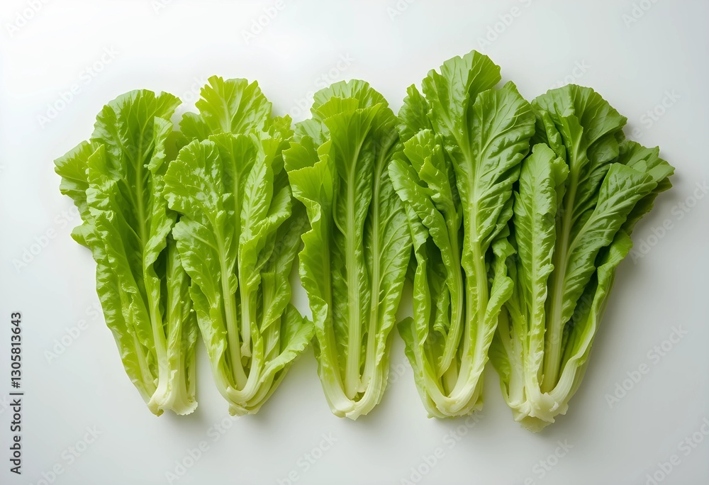 Fresh green lettuce leaves on a clean white surface, showcasing their crisp texture and vibrant color. Perfect for healthy eating, salad, and fresh produce concepts. Fresh green lettuce leaves on a clean white surface, showcasing their crisp texture and vibrant color. Perfect for healthy eating, salad, and fresh produce concepts.