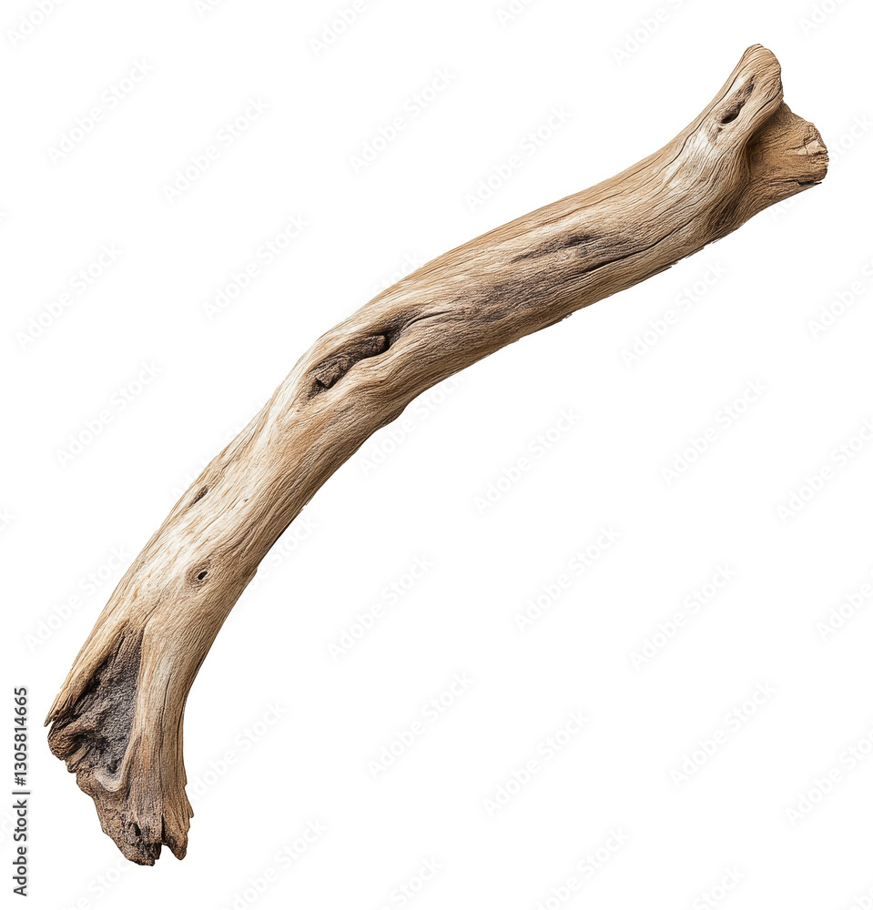 Curved driftwood branch isolated on transparent background. Natural texture concept Curved driftwood branch isolated on transparent background. Natural texture concept