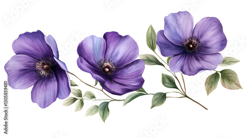 Fototapeta Naklejka Na Ścianę i Meble -  Three purple flowers are painted on a white background