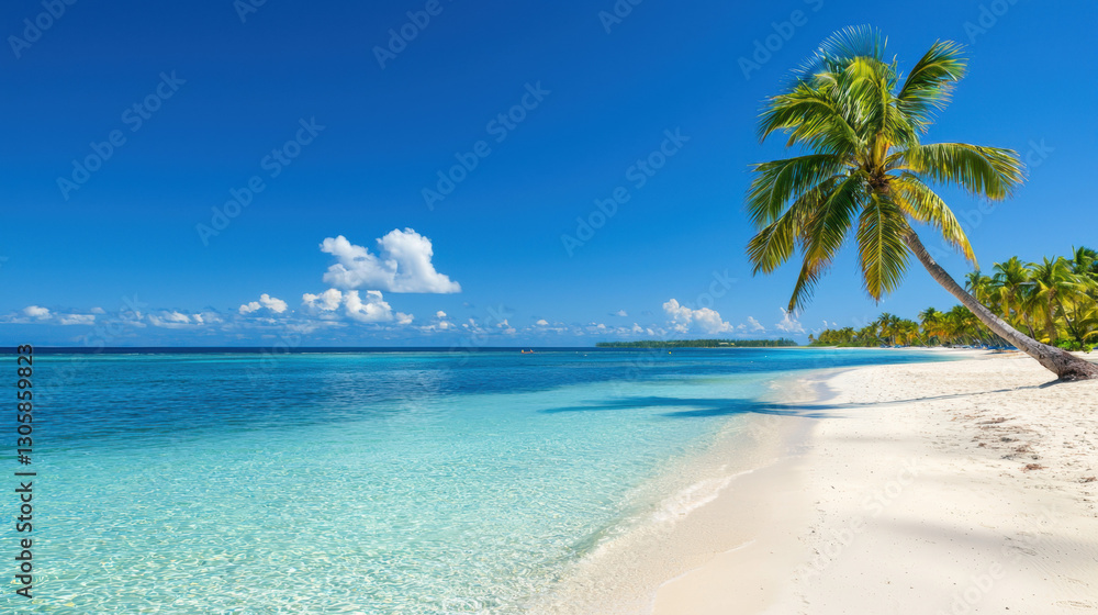 Tropical beach scene featuring a lush palm tree framed against the clear blue sky and ocean waves Tropical beach scene featuring a lush palm tree framed against the clear blue sky and ocean waves