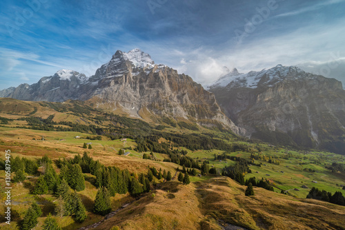 Grindelwald Switzerland nature landscape at village with Alps mountain