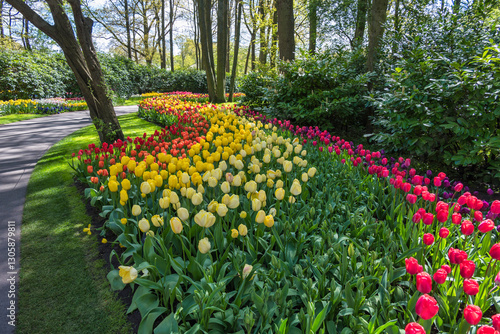 Obraz na płótnie Spring tulip bulb field in garden at Lisse near Amsterdam Holland Netherlands w salonie
