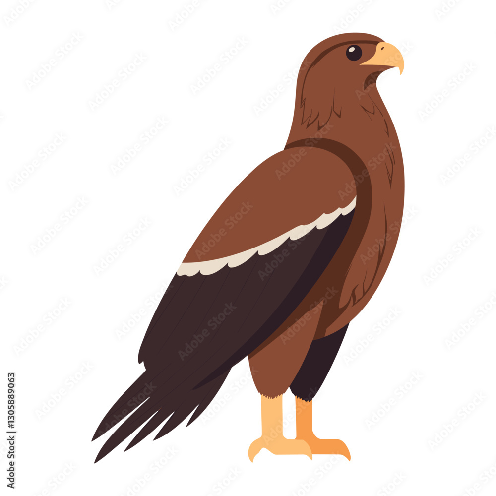 Fototapeta premium Flying eagle illustration bird art vector